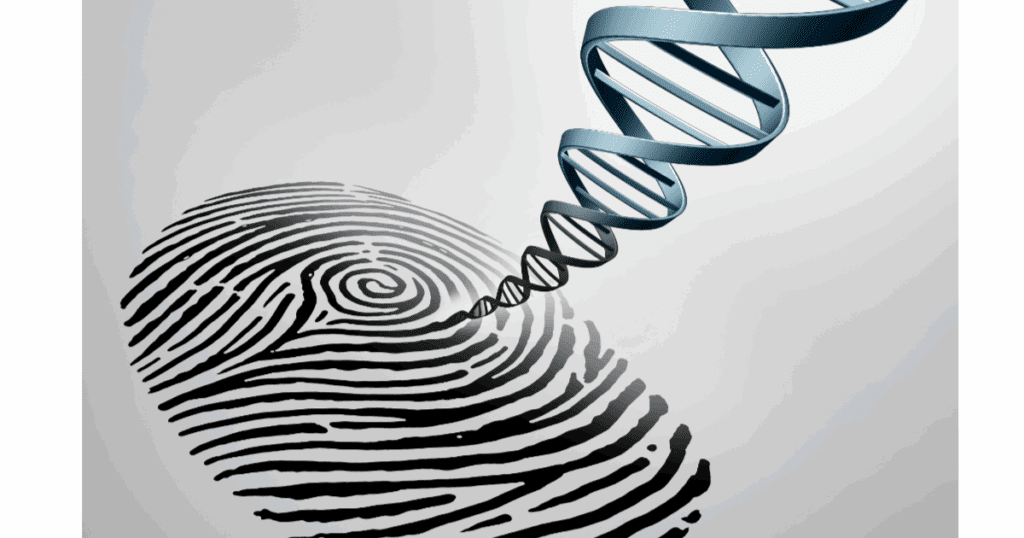 Image depicting precision medicine. The image connects a human fingerprint with a double helix.