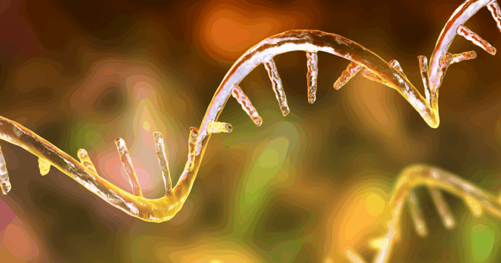 Picture of Ben Stansfield