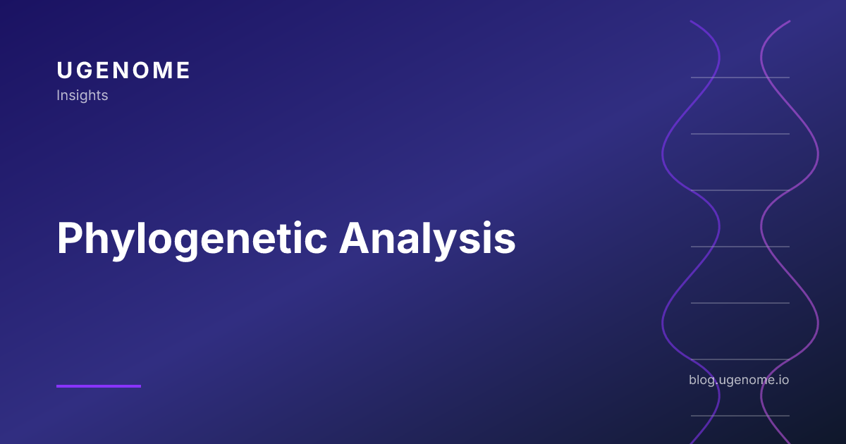 Phylogenetic Analysis