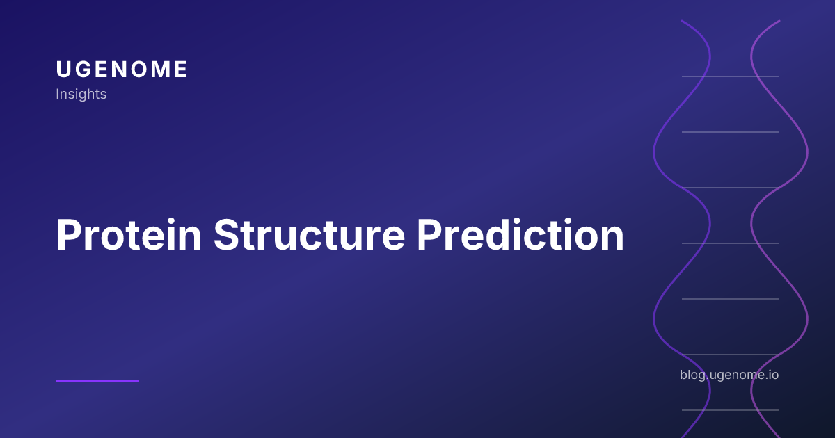 Protein Structure Prediction